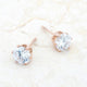 Reign 3.4ct CZ Rose Gold Stainless Steel Stud Earrings