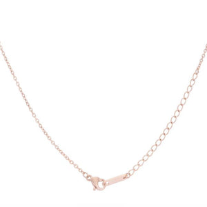 Arianna Rose Gold Stainless Steel Arrow Necklace